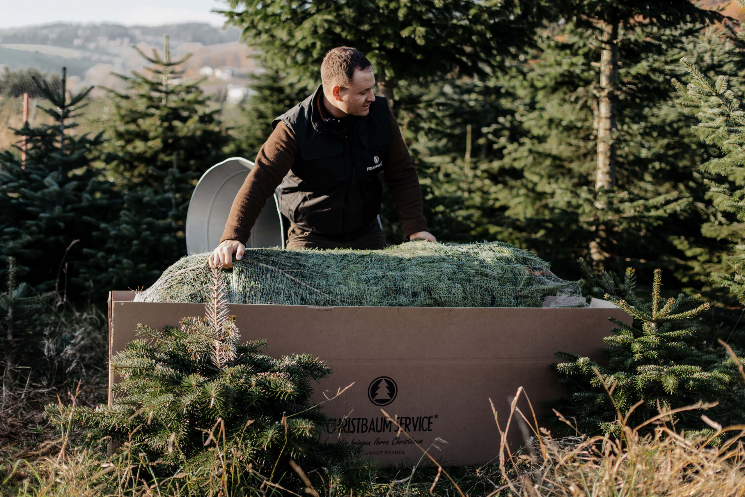 Presse - Christbaum Service®